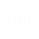 ayo logo 20250823 104024 0000 1