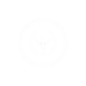 ayo logo 20250823 104024 0000 1